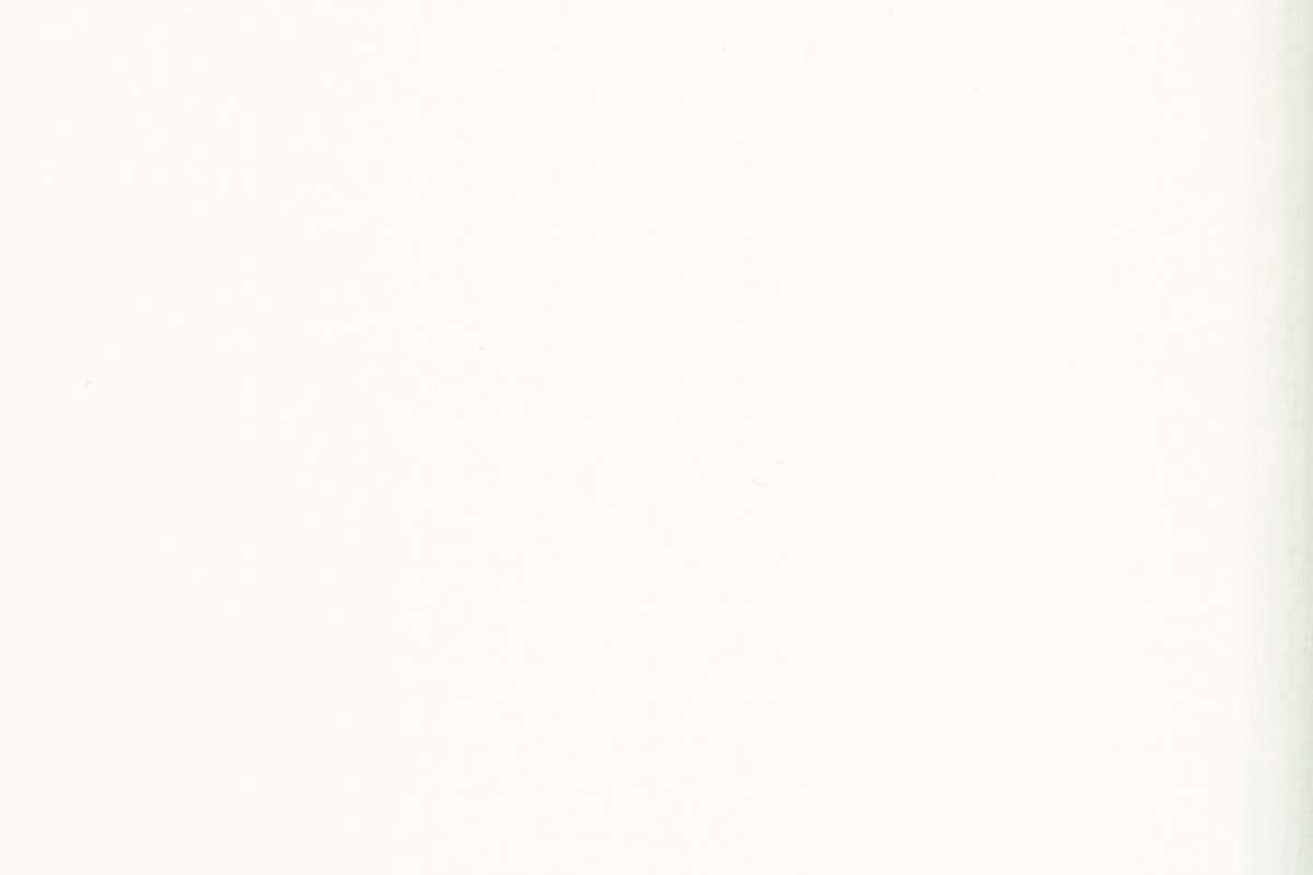 OSMO GARDEN COLOUR 7262 Reinweiß (RAL 9010), 2.5 L OSMO GARDEN COLOUR 7262 Reinweiß (RAL 9010), 2.5 L