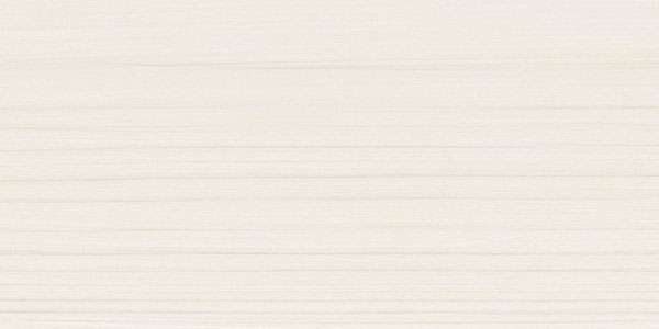 8111 SAICOS Wax Care