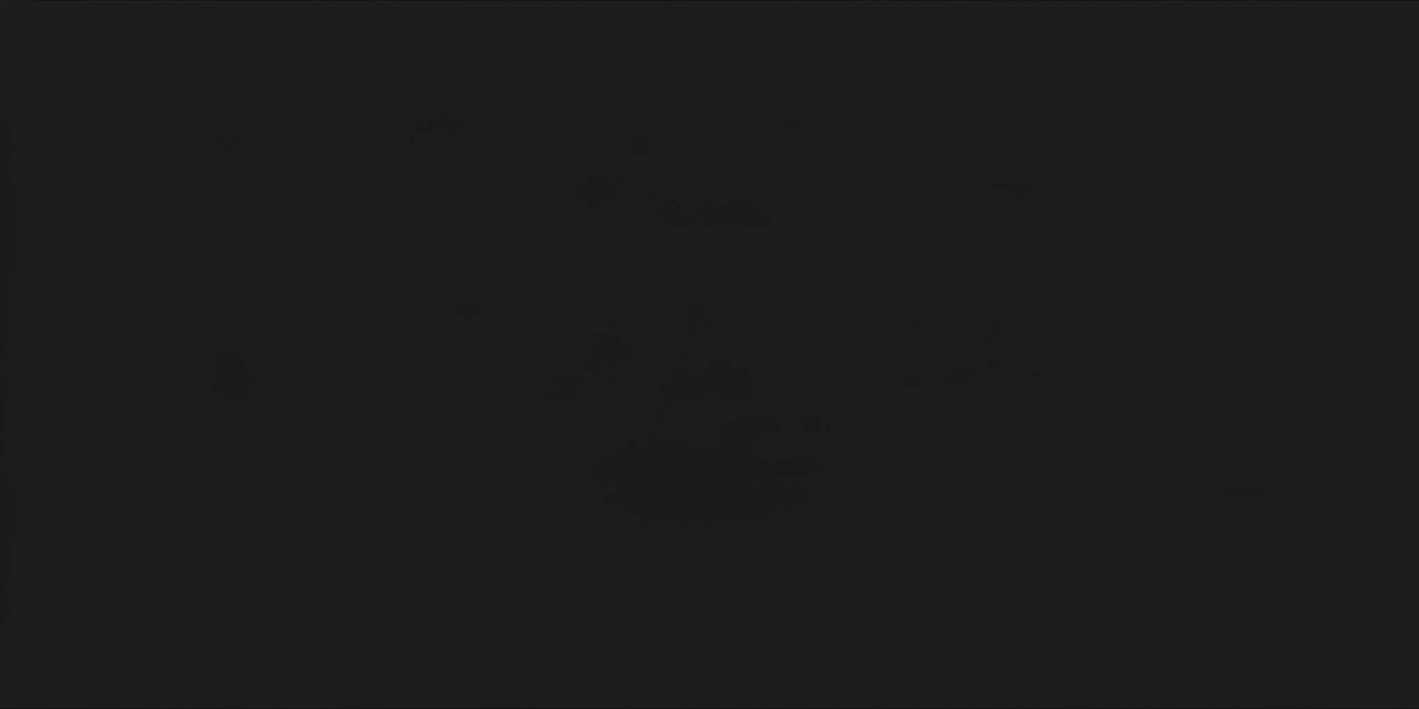 SAICOS Color Wax 4019 Black Opaque, 0.125 L SAICOS Color Wax 4019 Black Opaque, 0.125 L