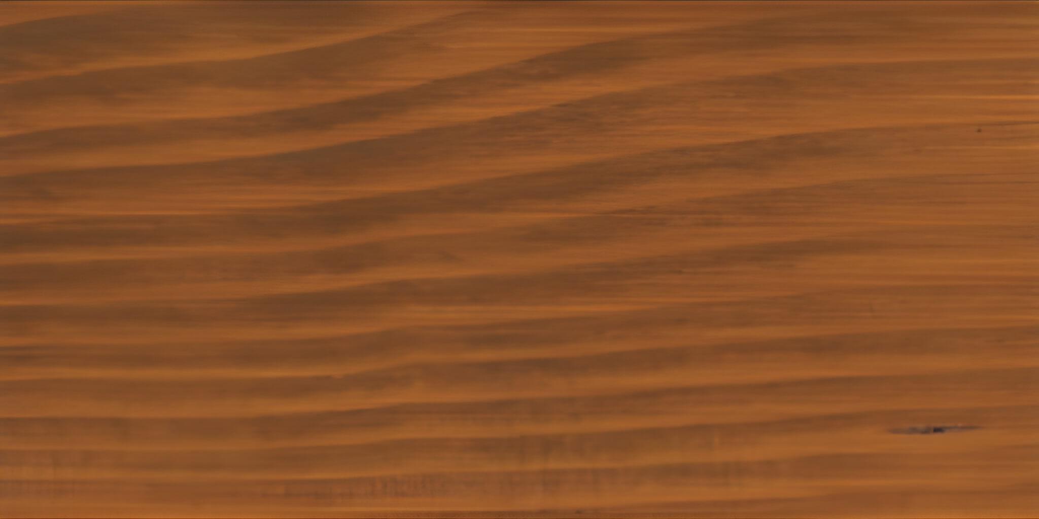 SAICOS Bel Air transparent Special Wood Colour 7298 Walnut, 0.125 L