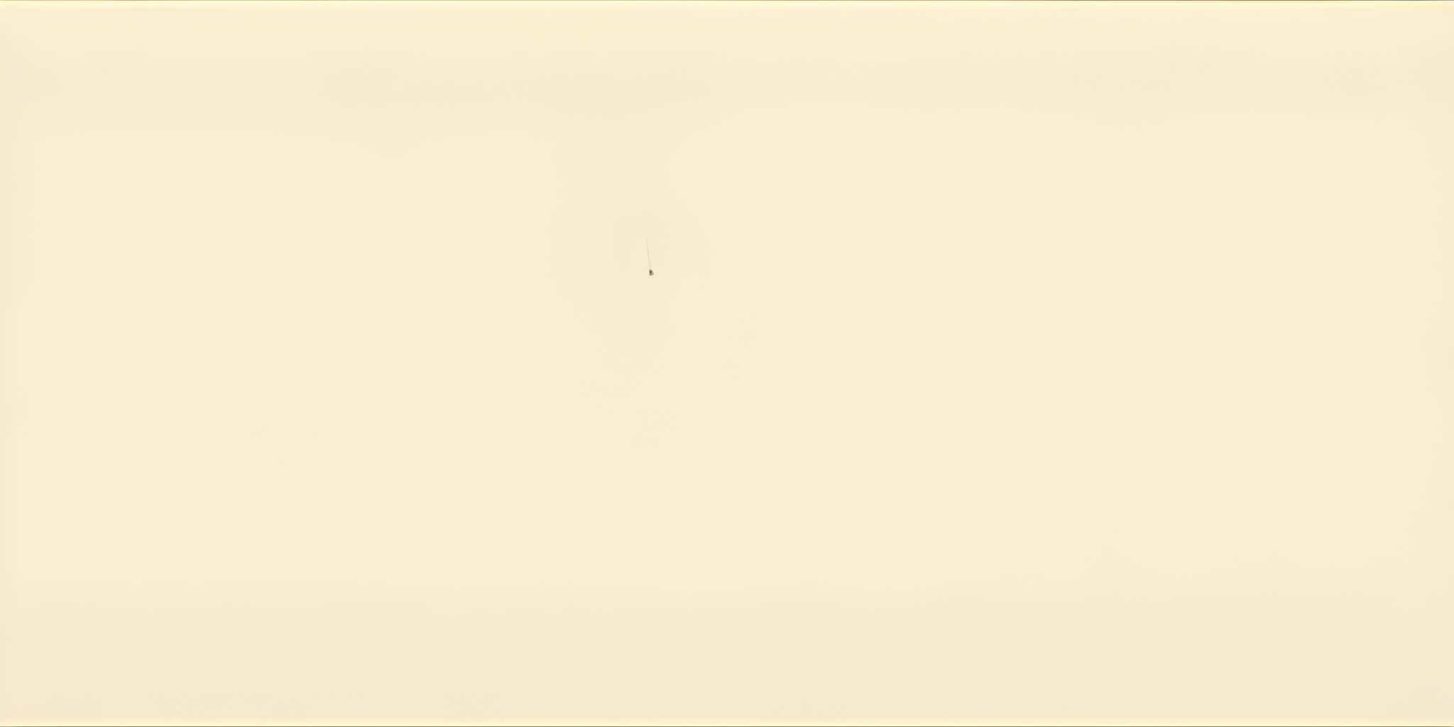 SAICOS House & Garden Colour 2100 Ivory, 0.125 L