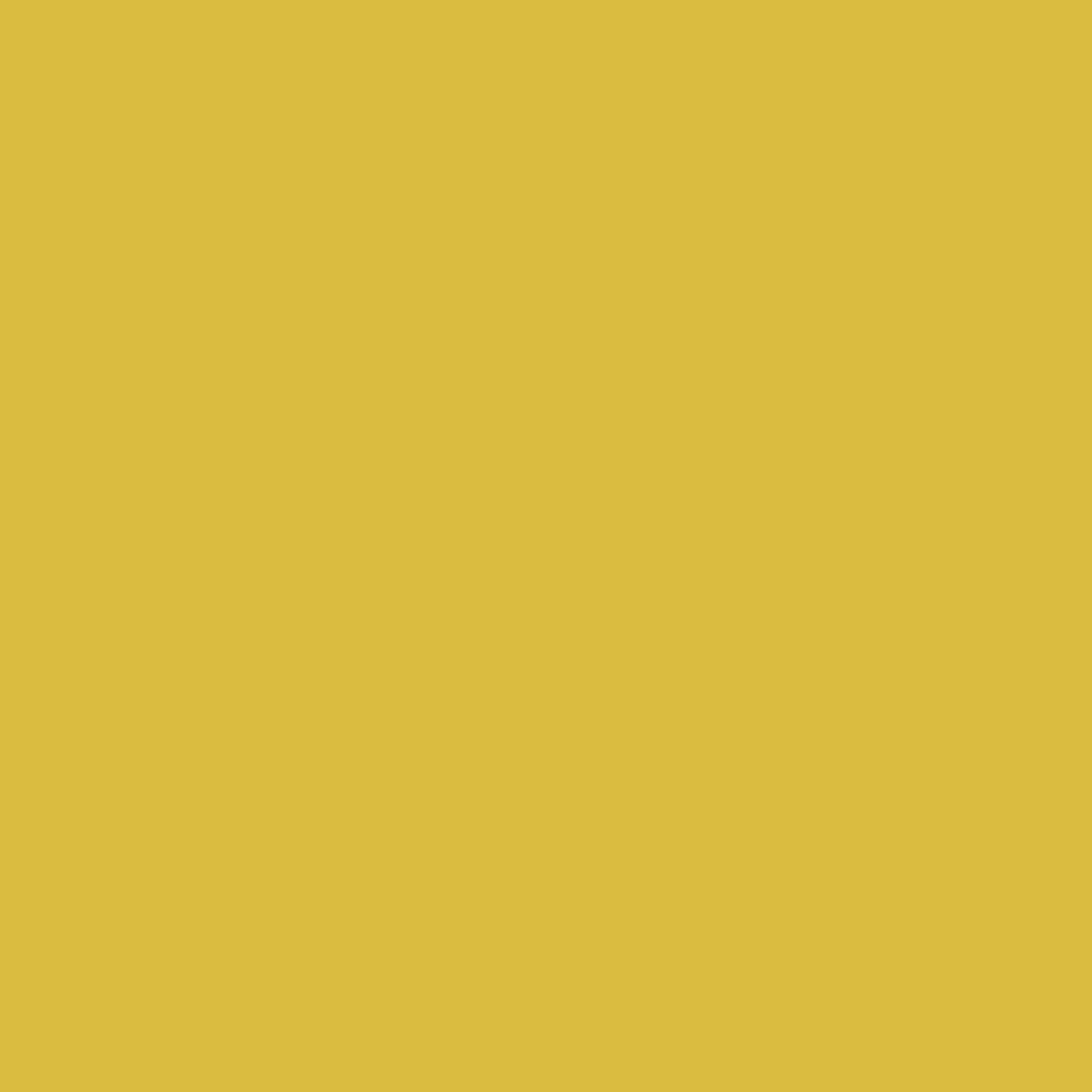 OSMO Holzpaste 100 g 7304 Eiche