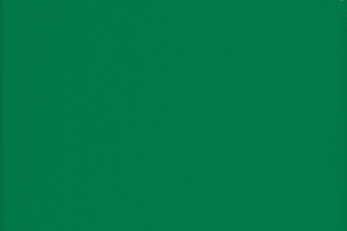 OSMO Garten- & Fassadenfarbe 7629 Minzgrün (RAL 6029), 0,75 Liter
