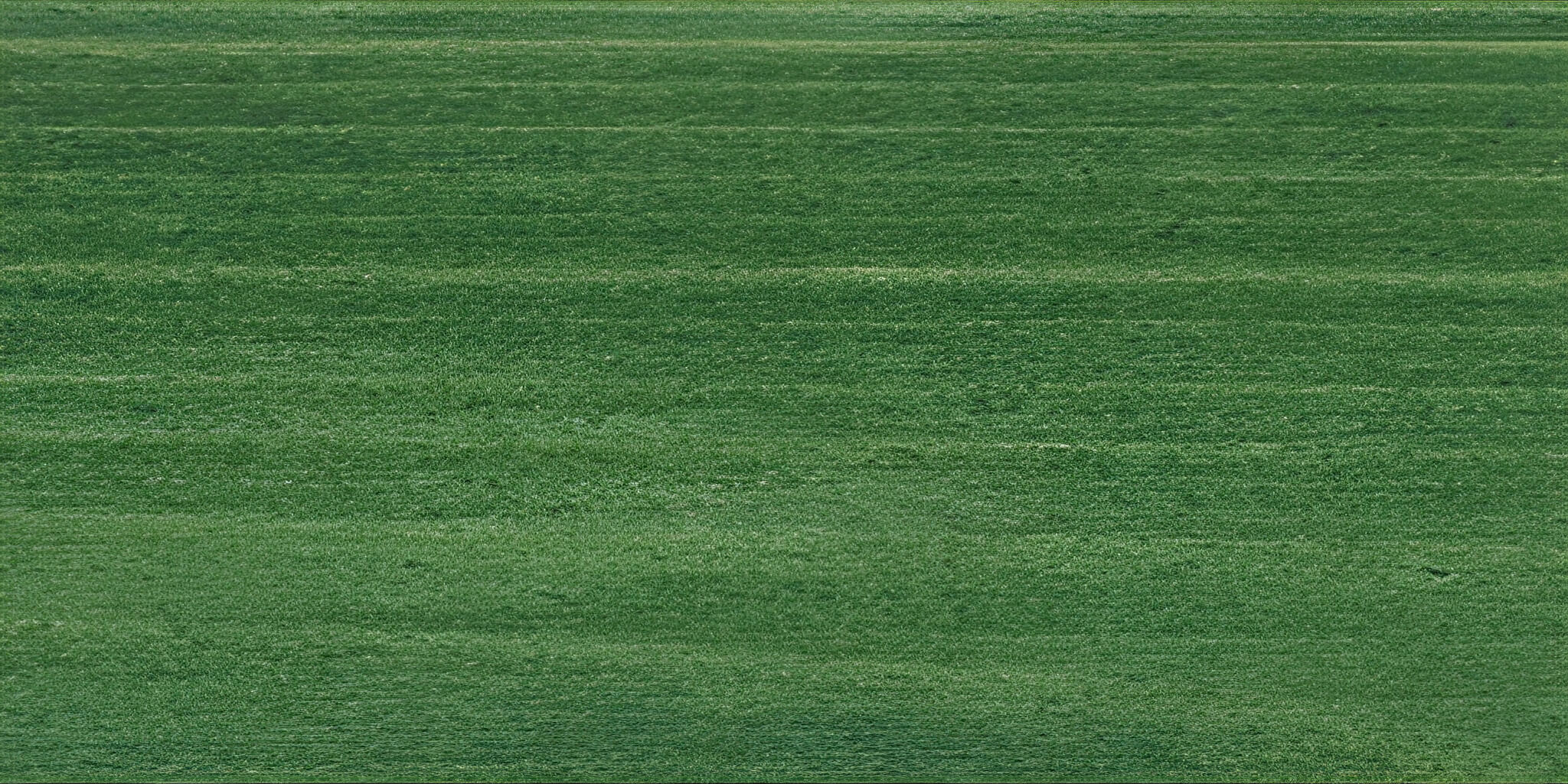 SAICOS Wood Stain 0060 Fir Green, 0.125 L SAICOS Wood Stain 0060 Fir Green, 0.125 L