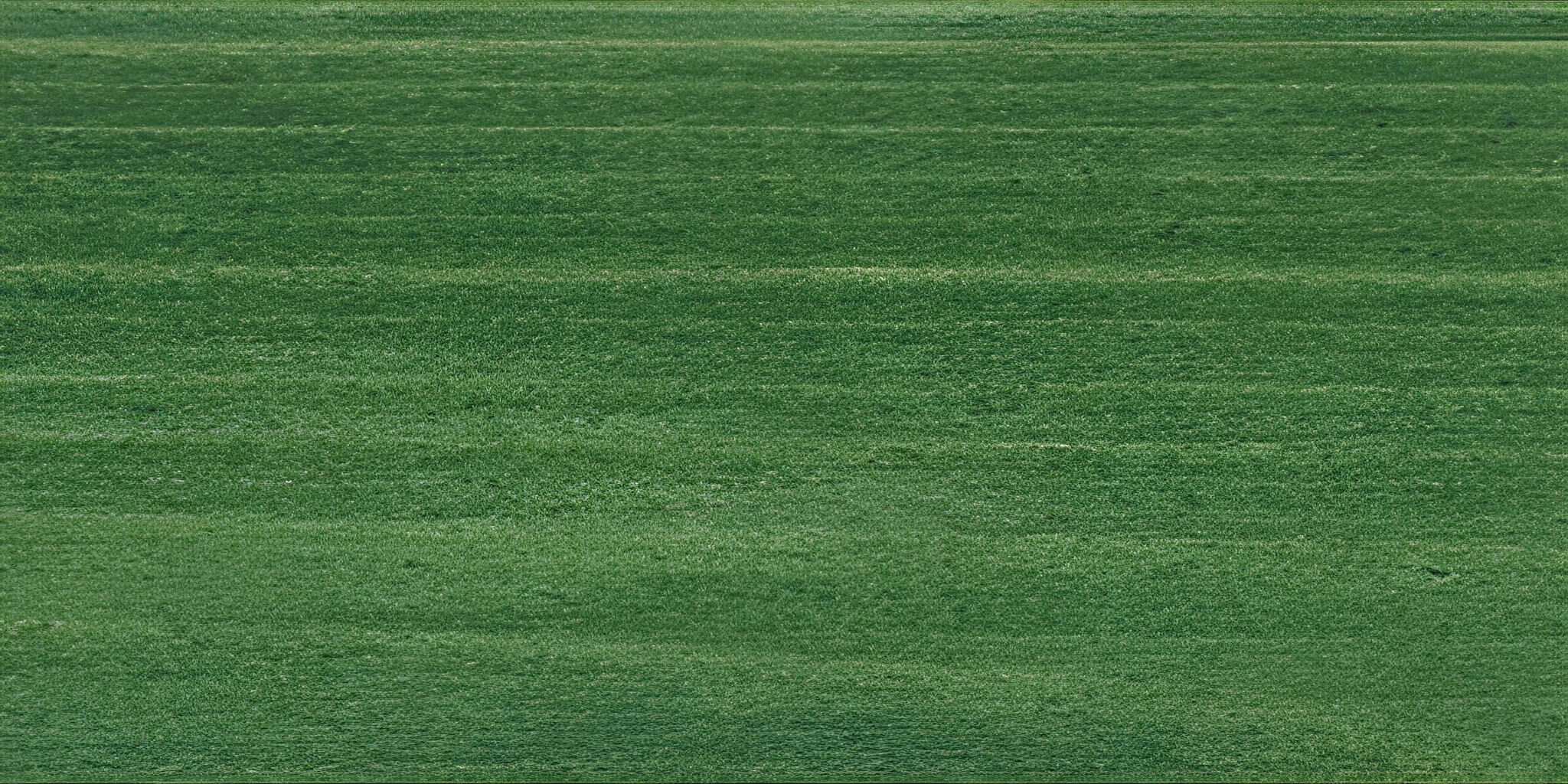 SAICOS Bel Air transparent Special Wood Colour 720060 Fir Green, 0.125 L SAICOS Bel Air transparent Special Wood Colour 720060 Fir Green, 0.125 L