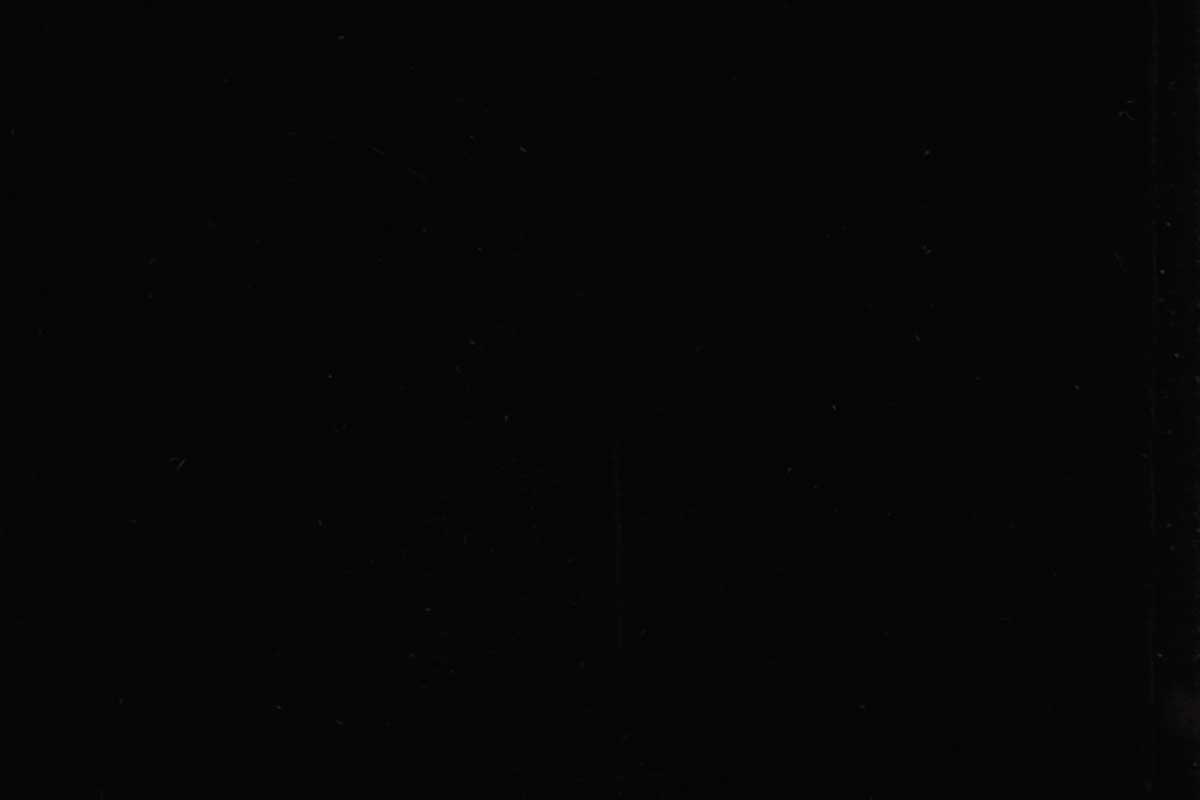 OSMO GARDEN COLOUR 7505 Tiefschwarz (RAL 9005), 2.5 L OSMO GARDEN COLOUR 7505 Tiefschwarz (RAL 9005), 2.5 L