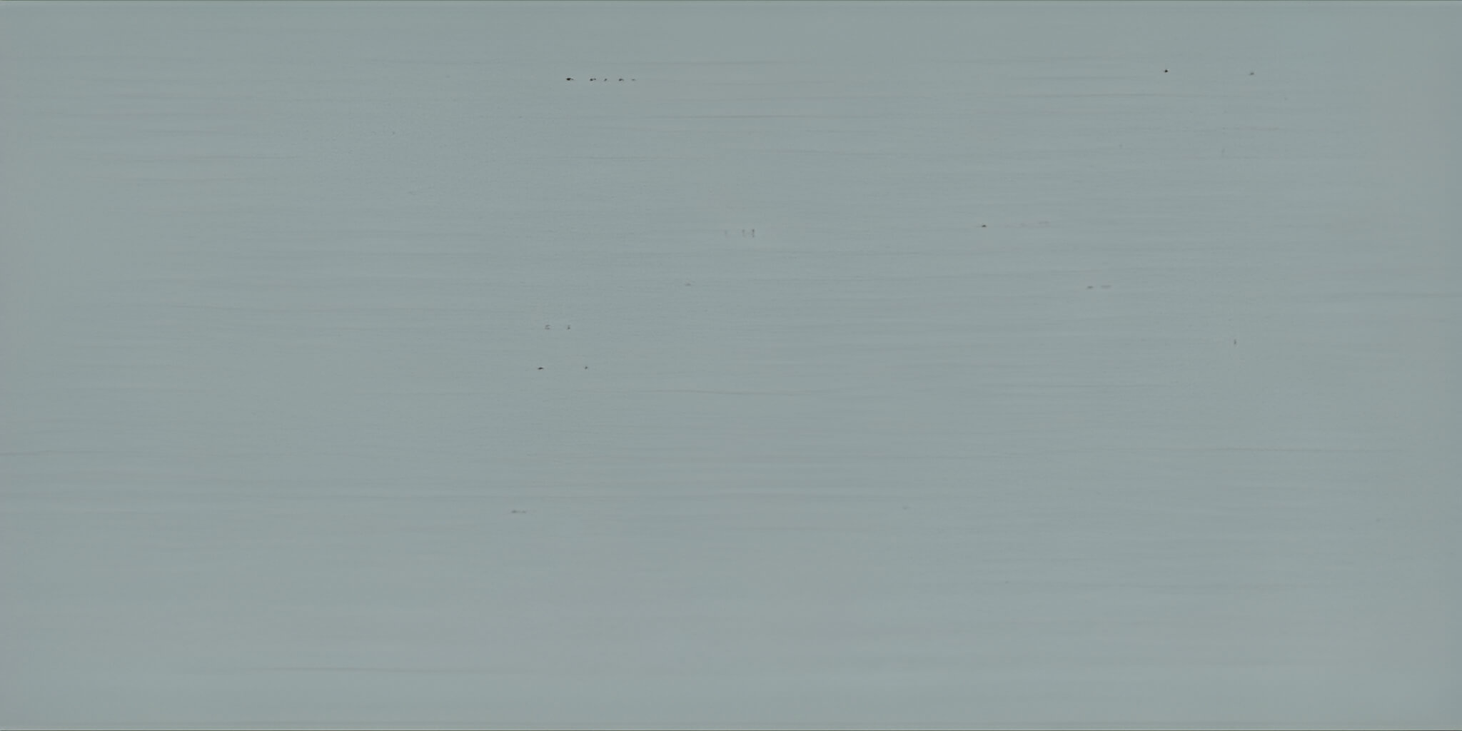 OSMO COUNTRY COLOUR 2742 Traffic Grey A (RAL 7042), 2.5 L OSMO COUNTRY COLOUR 2742 Traffic Grey A (RAL 7042), 2.5 L