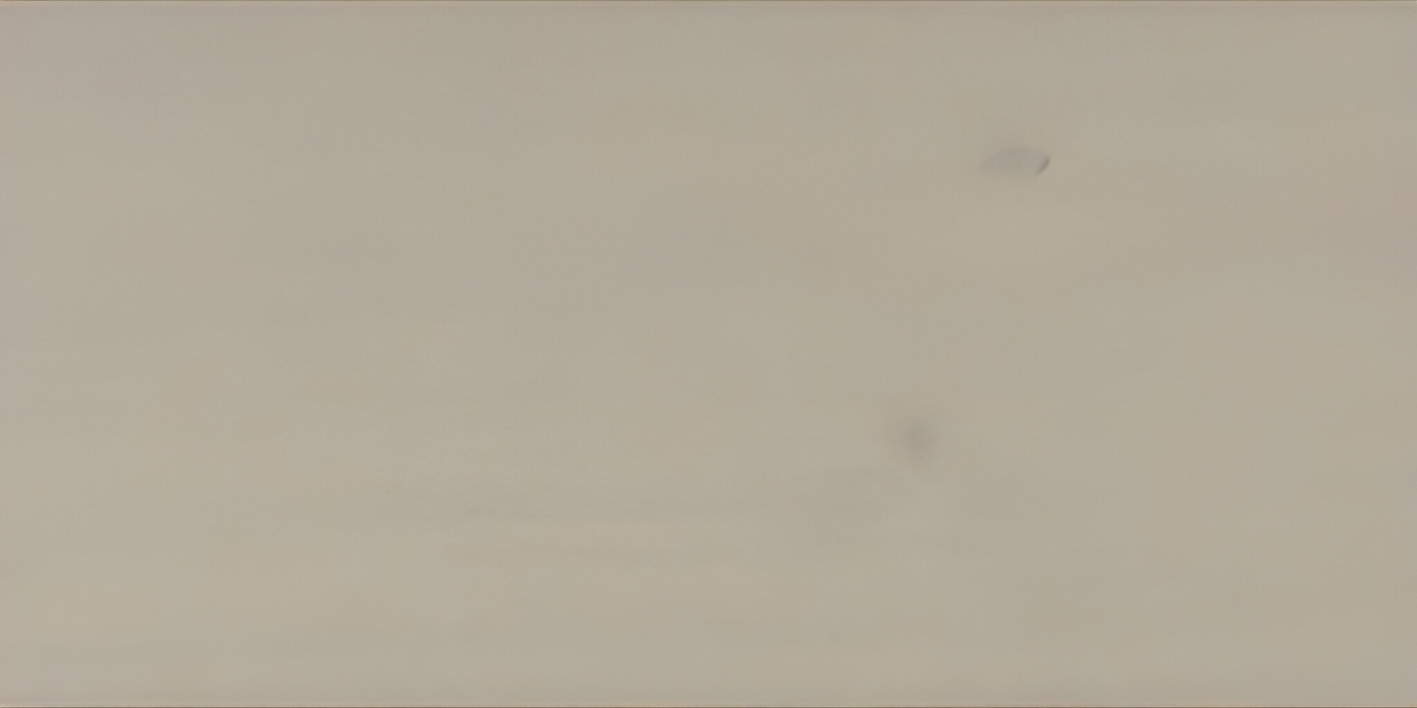 SAICOS Bel Air transparent Special Wood Colour 720070 Pearl, 0.125 L SAICOS Bel Air transparent Special Wood Colour 720070 Pearl, 0.125 L