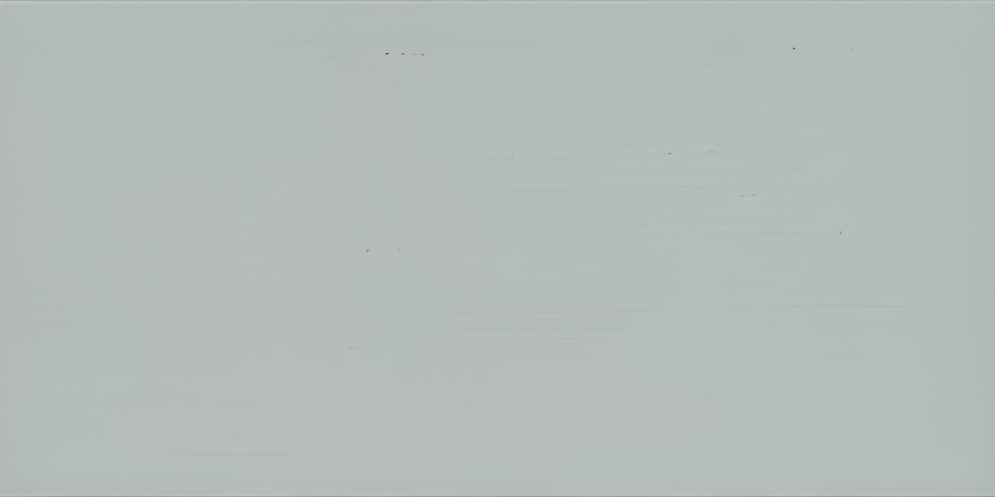 OSMO COUNTRY COLOUR 2735 Light Grey (RAL 7035), 2.5 L OSMO COUNTRY COLOUR 2735 Light Grey (RAL 7035), 2.5 L