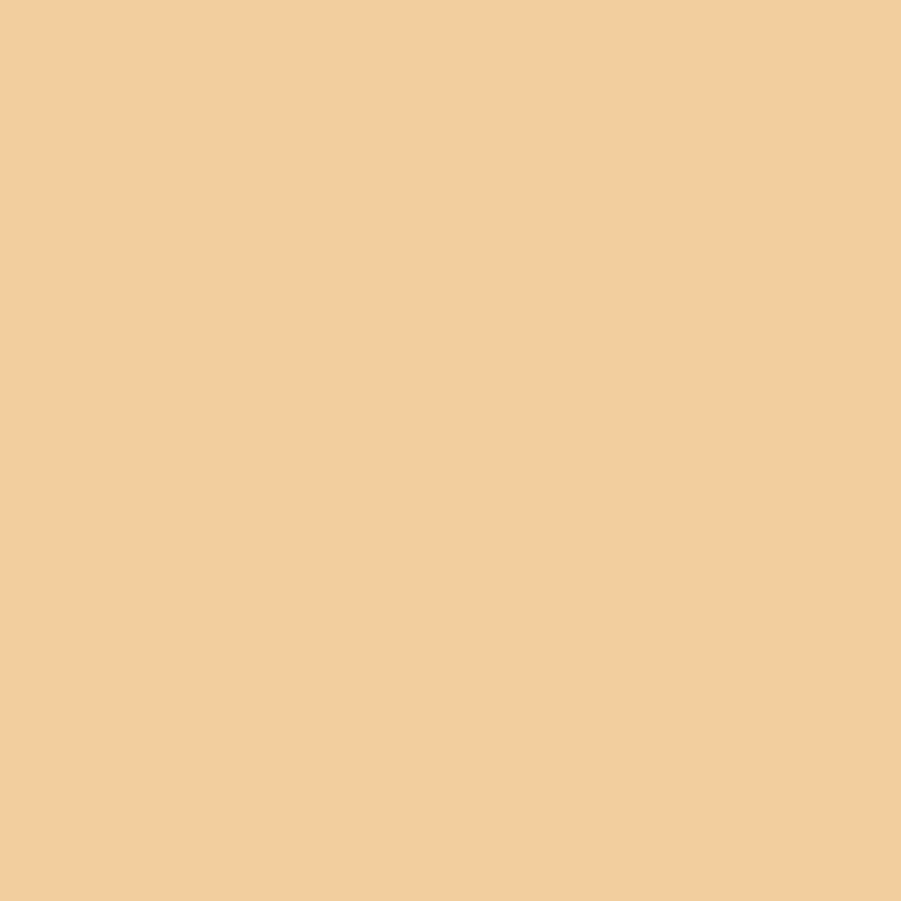 OSMO Holzpaste 100 g 7301 Buche